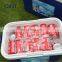 50L 22L 8L 2L GINT Picnic Outdoor Camping Portable Ice PU Foam Cooler Box