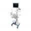 Touch screen BW ultrasound instruments 3D Ultrasound Scanner Machine with trolley