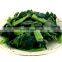 sandwich partner bulk export market prices vegetable frozen spinach 2021 new crop food planet hot selling iqf frozen spinach