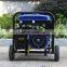 BISON CHINA 6000w Generators OHV Gasoline Engine 190F 15HP Petrol Portable 6 kw Generator