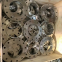 ASME flat welding ring loose sleeve SA182F904L stainless steel flange American standard forged for power engineering