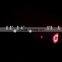 stage pro-light magic effect bee eye 19x12W 4in1 led movin head light beam and wash