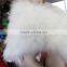 Unique Design White Turkey Marabou Feather Shawl For Wedding And Party