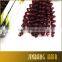 Janet 2X Bounce Twist Crochet Braids Afro Twist Braid Spring Twist Hair Extension