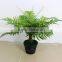 Trees Plant Type And Fiberglass Material Large Outdoor Artificial Trees