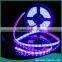 12V 5m Waterproof Cheap LED Strip Light