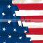 Excellent Quality Dazzle Graphic Design Water Transfer Printing Film No.DGDAS0256 Hot Sale Feature U.S.A Flag Hydrographic Film