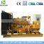 Micro CHP LPG LNG CNG natural gas generator 300kw for sale