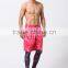 Guangzhou Wholesale Clothing Custom Casual Gym Shorts Sports Basketball Running Training Shorts for Male