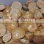 wholesale good quality beautiful natural polished Starfish Asteroid fossils