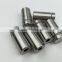 Stainless Steel Advertising Screws