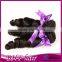 Best Price Top Quality 2015 Fashion Human Hair 100% Virgin Human Hair Malaysian Hair Weave Extensions Wholesale