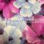 2016 newest beautiful colorful wallpaper with big flower pattern for home