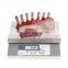 30kg / 2g S7i Series Stainless Steel Waterproof Table Scale