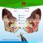 High quality for teaching and studying dog ear model