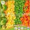 Manufacturer wholesale bulk IQF frozen california mixed vegetable