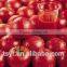 canned tin tomato paste best quality biggest producer of tomato paste in carton for different brix 28-30% 36-38%