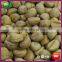 2016 New Organic Frozen Roasted Peeled Best Big Size Chestnut