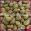 New Asian Organic IQF Frozen Shelled Cooked Big Size Chestnut