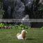 Lifelike Outdoor Large Decorative Garden Ornaments Dogs