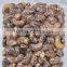 Dried Raw Cashew Nut from Vietnam
