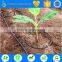 adjustable dripper used for garden flower irrigation in watering kits