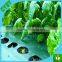 Virgin material china hdpe anti weed mat ground weed control mat