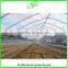 Durable Galvanized Steel Frame Greenhouse Agricultural Greenhouse