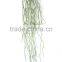 Artificial Design Ornament Light Green Root in Hot Sale LGH15-30