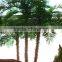 hot sale artificial date palm tree fiberglass palm tree sale fake tree