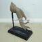 Polyresin Hand Art Statue