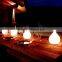 Remote Control Colour Changing D17*H19cm Solar Garden Lights with Solar Panels for Christmas Sales