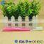 bright color family used professional teeth whitening famous Chinese brand wholesale toothbrush