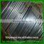 low price electro galvanized iron wire or GI wire for binding