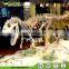 Factory Price high quality dinosaur fossils