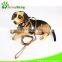 Soft Mesh With Bell Dog Harness With Matching Leash