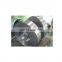 Galvanized Steel Strips
