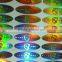 Custom anti-counterfeiting hologram sticker in guangzhou