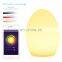 Alexa and google home voice operation APP control smart led night light