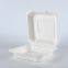 Disposable Biodegradable 9*9 Take away Sugarcane container