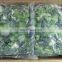Sinocharm BRC-A approved New Crop  IQF Pakchoi Whole