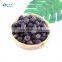 Frozen Fruit Fresh Taste IQF Frozen Blueberry With High Quality