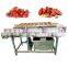 Industrial Fresh Vegetable Fruits Cleaning Drying Processing Machinery Dry Dates Washing Machine For Sale