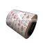 Double Coated Color Painted Metal Roll Paint Galvanized Zinc Coating PPGI PPGL Steel Coil/Sheets In Coils