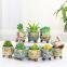 Home Succulent Plant Flower Pots Glazed Creative Hand Painted Pot Korea Plants Succulents Live Flowerpot Tray Korean Planter