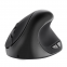 Hot Sell OEM Desktop Gaming Mouse 2.4Ghz PC Wireless Ergonomic Mouse Computer Accessories Office Silent Mute Mouse
