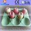 Fruit tray making machine, hot sale fruit tray manufacturing machine price