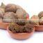 Good Quality Triphala Powder OEM Manufacturer