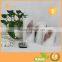 Leaves Indise Real Wax Flameless LED Candles In All Departments Free Remote/Timer