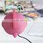 newest portable wifi wireless speaker box (SWS01)